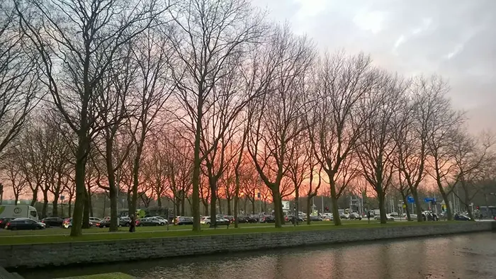 Living on the intersection of India and The Netherlands - learning from Erin Meyer The Culture Map