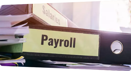 Specializes in Global Payroll and Salary Administration